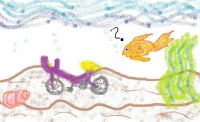 Does a fish need a bicycle?